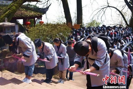 四川千名學(xué)子著漢服祭拜“茶祖”采摘春茶