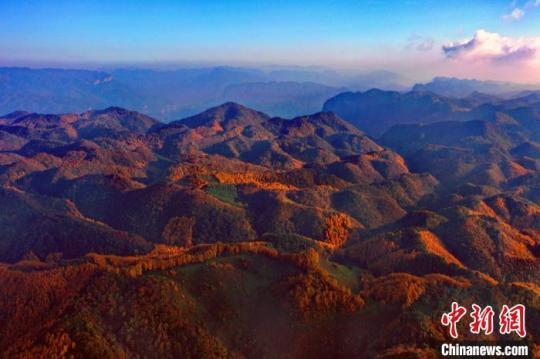 川北曾家山秋色正濃迎來浪漫紅葉季