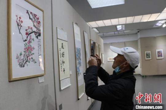 合肥市民參觀“中日友好青少年書畫展”,?！垙?攝