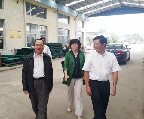 中國僑網