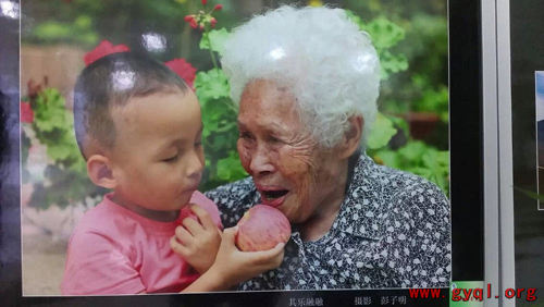 中國僑網