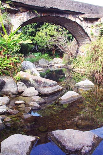 中國僑網(wǎng)