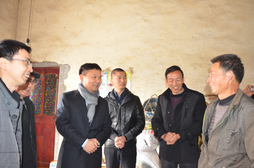 中國僑網