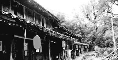 中國(guó)僑網(wǎng)瑞安市湖嶺鎮(zhèn)均路村,電視劇《溫州一家人》古樹(shù)村的原型(資料圖片)
