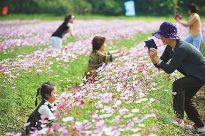 中國(guó)僑網(wǎng)游客在瓊海龍壽洋公園賞花,。(張杰 攝)