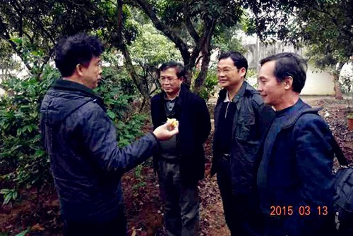 中國(guó)僑網(wǎng)廣西僑聯(lián)副主席林振龍(左二)在貴港市僑聯(lián)主席李靖毅(左三)的陪同下,到貴港市僑資企業(yè)進(jìn)行調(diào)研,。