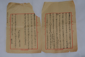 中國僑網(wǎng)
