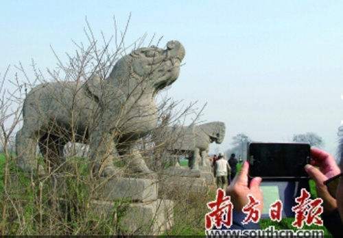 中國僑網(wǎng)麥田中的皇陵,讓尋根的趙姓后人感慨萬千,。 (《南方日報(bào)》/楊興樂 攝)