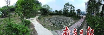 中國僑網(wǎng)