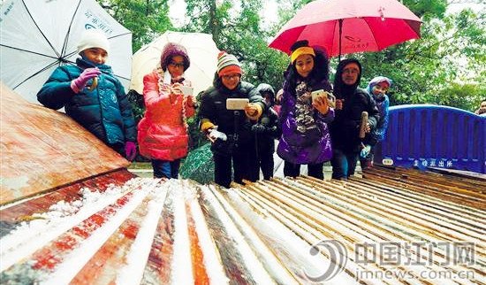 市民在圭峰山上搶拍“冰條”,。岑錫斌
