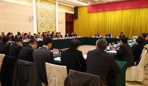 廣東省政協(xié)十一屆四次會(huì)議召開海外僑胞專題座談會(huì)(林龍勇