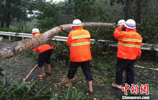 截至18日10時,,海南省高速公路,、國道未發(fā)生阻斷,,省道阻斷2處,,圖為工人正在疏通道路,?!£愰L吉 攝