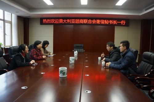 中國僑網