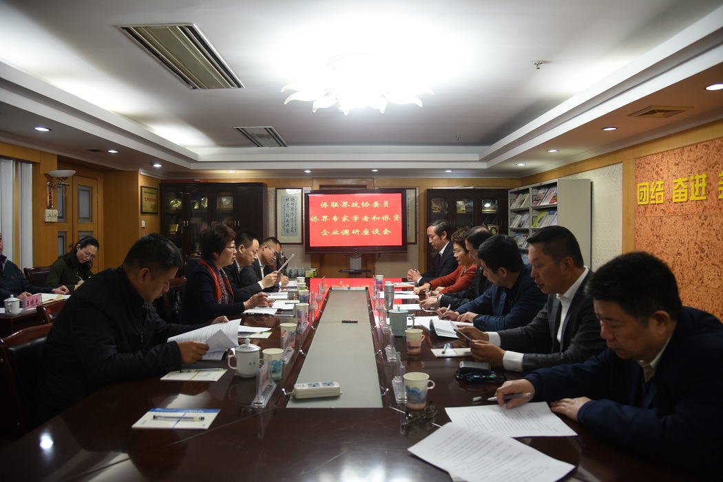 中國僑網座談會現(xiàn)場。河北省僑聯(lián)供圖