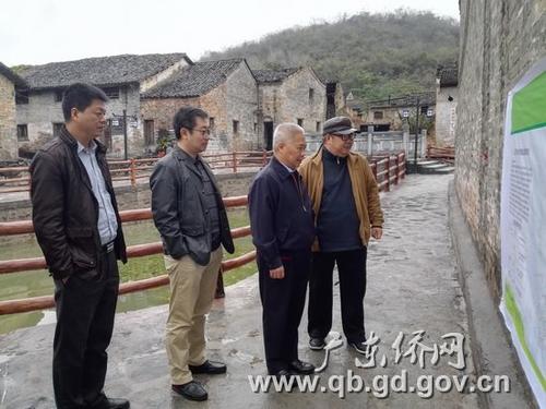 中國僑網(wǎng)李仲民副巡視員(右二)仔細瀏覽連州石蘭村古村落改造工程情況展板