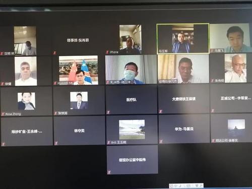 中國(guó)僑網(wǎng)視頻會(huì)議現(xiàn)場(chǎng) (圖片來(lái)源:中國(guó)駐剛果(金)大使館網(wǎng)站)
