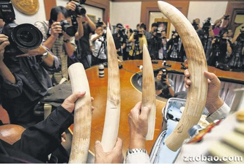 (新加坡《聯(lián)合早報(bào)》援引路透社)