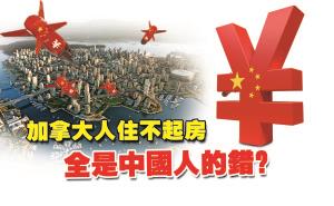 中國僑網(wǎng)