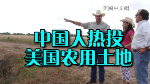 (美國(guó)中文網(wǎng))