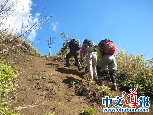 鹿留山登山者。(日本《中文導(dǎo)報(bào)》)