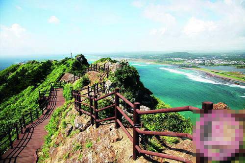 濟(jì)州島,。(參考消息援引自資料圖片)