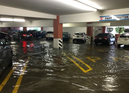 停車場(chǎng)儼然已變成一條小河,,尤其是兩邊停車位中間的過道,地勢(shì)最低,,車輛行駛猶如在劃船,。(照片由胡先生提供)