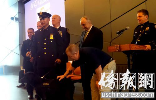 警探劉鶴生和他的警犬Vin接受畢業(yè)證書。(美國《僑報》/宋旸