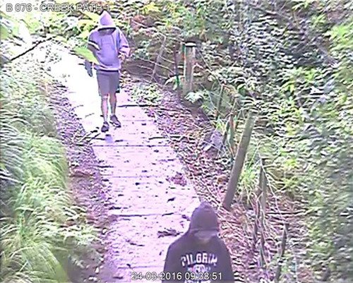小易被暴力搶劫一案中兩名犯罪嫌疑人尚未歸案,。(新西蘭天維網)