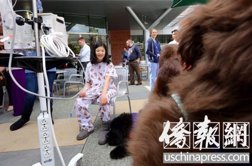 絲姓女童在與治療犬互動(dòng),,臉上綻出微笑。(美國(guó)《僑報(bào)》/邱晨