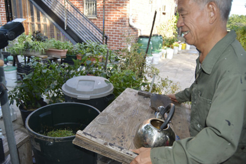鐘展昆說從公園收集的廢草用于堆肥很有用,。(美國《世界日報》/俞姝含