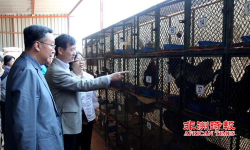田學(xué)軍大使(左一)一行走訪當(dāng)?shù)剞r(nóng)貿(mào)市場。(《非洲時(shí)報(bào)》)