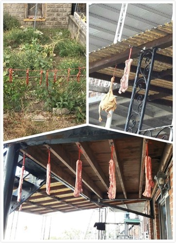 白石鎮(zhèn)華人在陽臺曬臘肉及風雞被鄰居強烈投訴,,恐引來老鼠和蒼蠅。(美國《世界日報》/Eugene