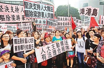 香港民眾集會支持人大釋法,。(圖片來源:《文匯報》)