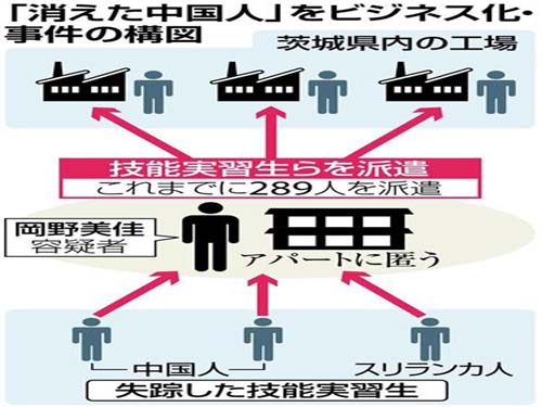 中國僑網