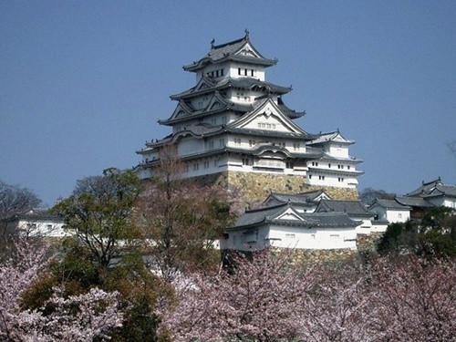 中國僑網(wǎng)(日本新華僑報網(wǎng))