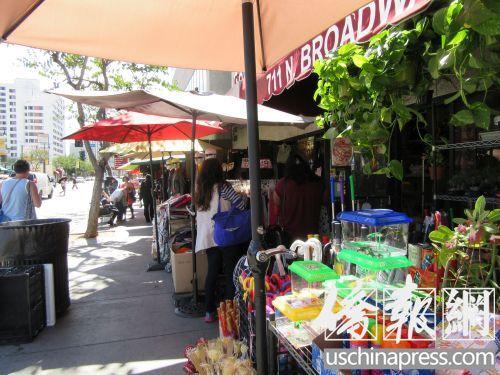 中國僑網(wǎng)洛杉磯中國城主要街道百老匯街上不少商鋪都在賣小烏龜,。(美國《僑報(bào)》/翁羽 攝)