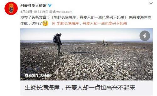 中國僑網(wǎng)日前,丹麥駐華大使館因本國生蠔泛濫成災(zāi),特發(fā)文求助網(wǎng)友,。圖為網(wǎng)絡(luò)截圖