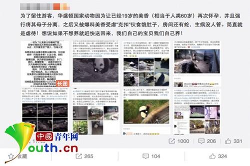 中國僑網(wǎng)微博上關(guān)于美香的消息受到網(wǎng)友關(guān)注,。