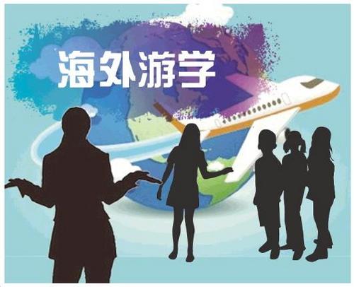 中國(guó)僑網(wǎng)調(diào)查動(dòng)機(jī)