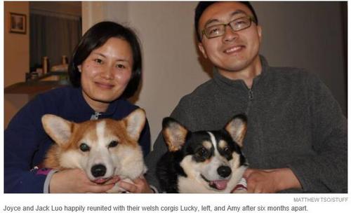 中國僑網(wǎng)Joyce Luo夫妻和他們的愛犬(新西蘭天維網(wǎng))