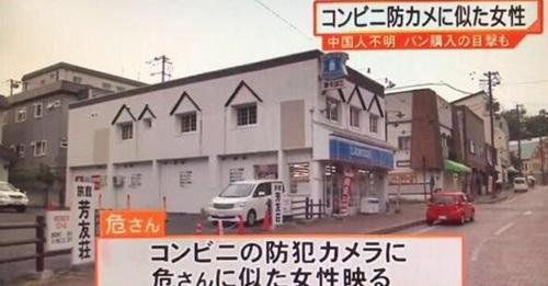 中國僑網
