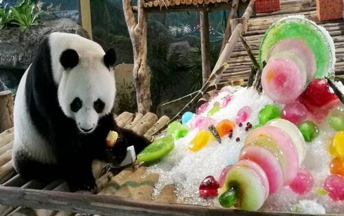 中國僑網(wǎng)旅泰大熊貓創(chuàng)創(chuàng)(泰國《世界日報(bào)》)