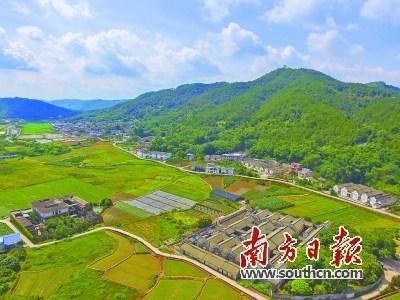 中國僑網(wǎng)梅縣區(qū)南口鎮(zhèn)橋鄉(xiāng)村,。何森垚 攝