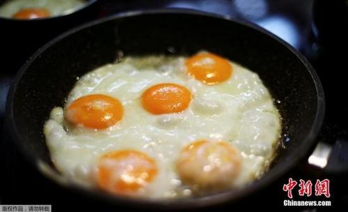 中國(guó)僑網(wǎng)世界衛(wèi)生組織(WHO)指,大量進(jìn)食高濃度芬普尼一段時(shí)間,,會(huì)損害肝臟,、甲狀腺和腎臟。(資料圖)