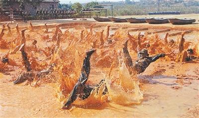 中國僑網(wǎng)