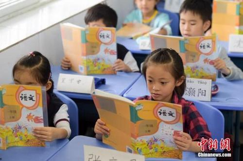 中國僑網(wǎng)小學(xué)生在上課(資料圖),。 中新社記者 張婭子 攝