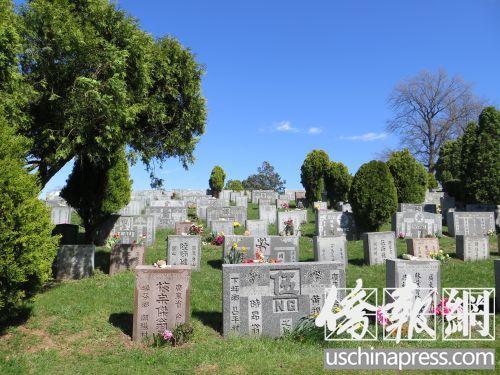 中國僑網(wǎng)資料圖,位于紐約皇后區(qū)格蘭黛爾的柏山墓園有許多華人的墓地碑牌,。(美國《僑報》/王伊琳 攝)
