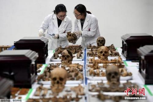 中國僑網資料圖:在韓中國人民志愿軍烈士遺骸。