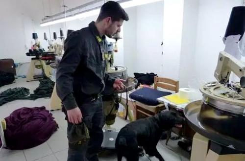 中國僑網(wǎng)意大利警方首次出動警犬隊配合稅務(wù)警察的檢查工作,。(意大利歐聯(lián)網(wǎng))