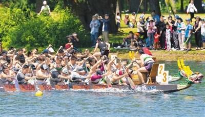 中國僑網(wǎng)6月16日,,加拿大舉行第30屆多倫多國際龍舟節(jié),,這項為期兩天的傳統(tǒng)活動吸引了來自世界各地的逾5000人參加,。圖為參賽者在龍舟賽中,。(新華社/鄒崢 攝)